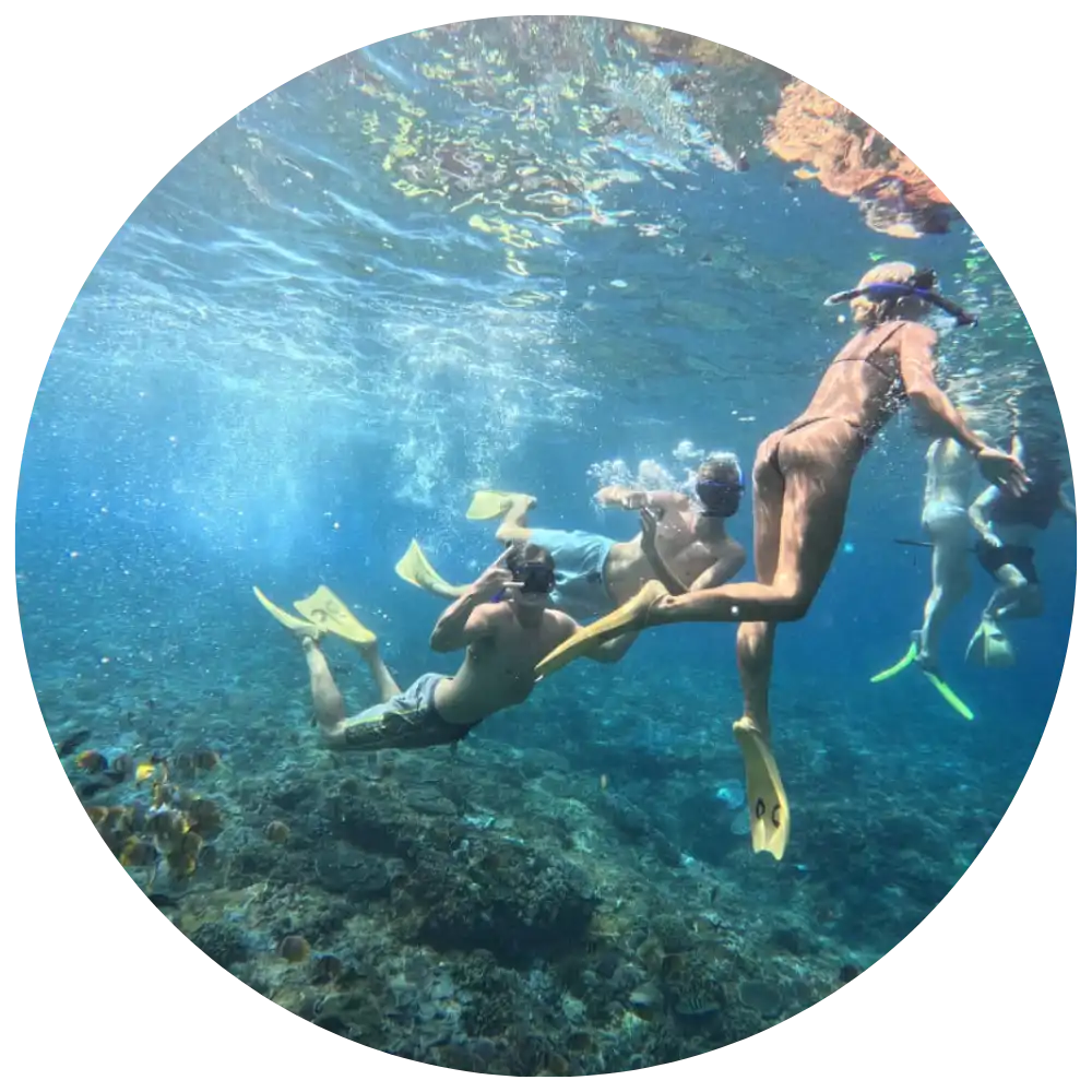 Home enjoybalitrip snorkeling